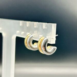 Stainless Steel Elegant Silver and Gold Huggie Hoop Earrings